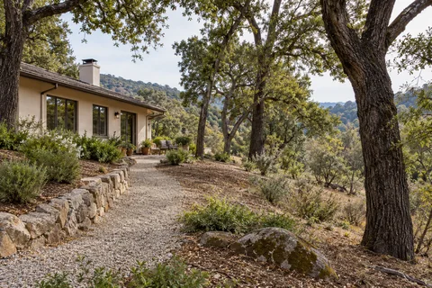 Selectively cleared landscape beside a home